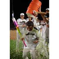 Thumbnail for Easton | 2025 | THE Dub Baseball Bat | USSSA | -10 Drop | 2 3/4