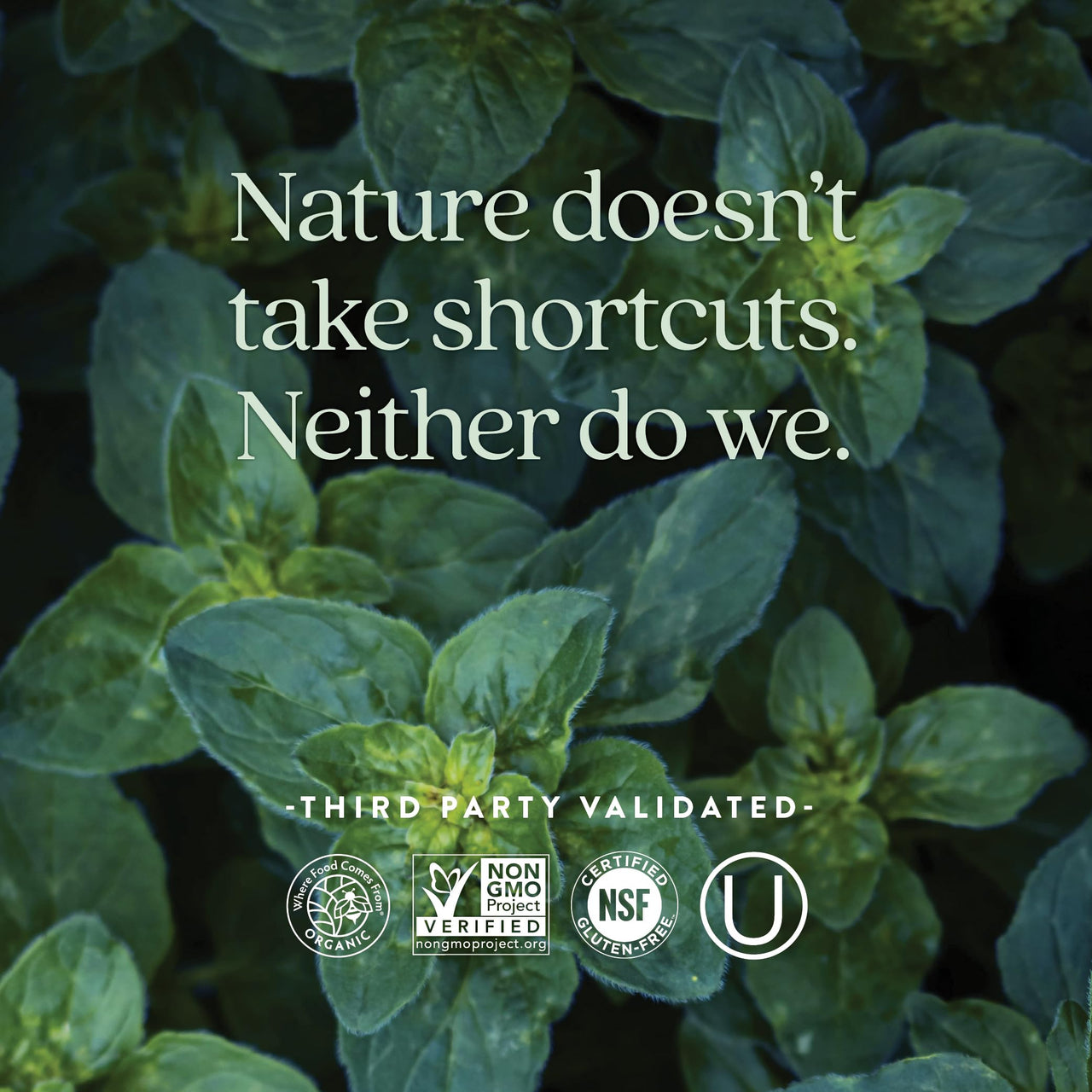 New Chapter Men’s Multivitamin 40+, Extra B6 & B12, D3, Vitamin C & Zinc, Immune, Heart, Cellular Energy, and Brain Health, Gentle on The Stomach, One Daily, Non-GMO, Gluten-Free, 48 Tablets