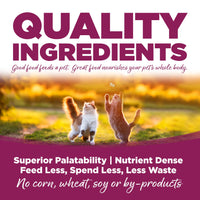 Thumbnail for Nutri Source Cat & Kitten - Chicken & Rice - 12 X 5 Oz