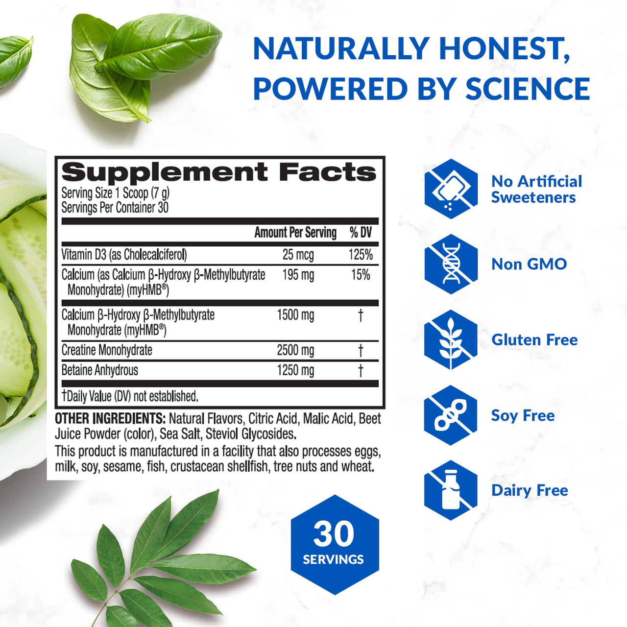 BioTrust Ageless Muscle Builder - Creatine HMB Powder with Vitamin D3 & Betaine - Build & Preserve Naturally Declining Muscle Mass & Strength - Fruit Punch, 30 Servings