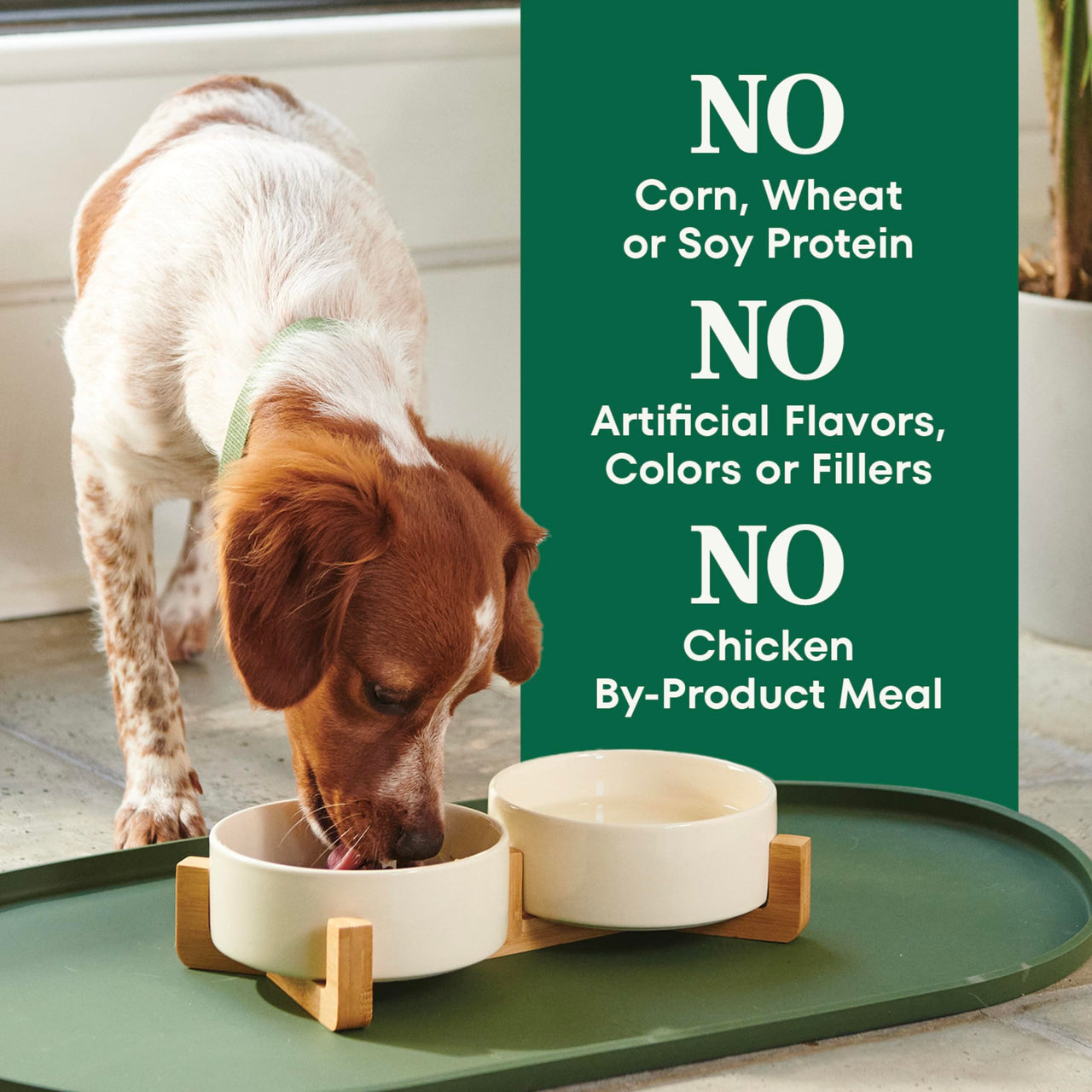 Nutro Natural Choice Small Bites Dry Dog Food, Adult Dog Food Dry Lamb & Brown Rice Recipe, 5 lbs.