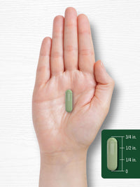 Thumbnail for Carlyle Moringa Oleifera Supplement | 180 Capsules | Complete Green Superfood for Women and Men | Non-GMO and Gluten Free | from Moringa Leaf Powder