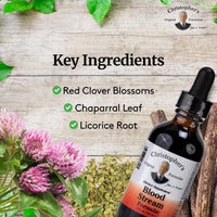 Thumbnail for Christopher's Original Formulas Blood Stream Formula, 2 oz Glycerine Extract - Natural Herbal Blend