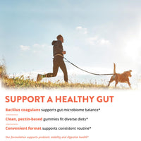 Thumbnail for MRM Nutrition Probiotics Gummies - 2 Billion CFU, Daily Digestive & Immune Support for Women & Men, Supports Microbiome & Gut Health, Gelatin Free, Non-GMO, Vegan & Gluten Free - 30 Servings