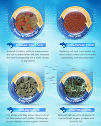Thumbnail for Ocean Nutrition Shrimp Wafers - Sinking Shrimp Food for Freshwater Shrimp Tank (Neocaridina, Caridina, Ghost Shrimp Live, Amano, Cherry) - Enriched with Essential Vitamins & Proteins - 0.53 oz (15 g)