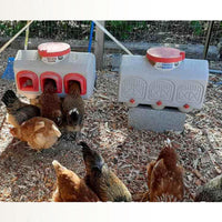 Thumbnail for OverEZ Automatic Chicken Waterer with No Spill System, Outside and Inside Poultry Drinker, Large 12 Gallon High Capacity Drinking Bottle Dispenser for Hens