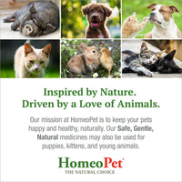 Thumbnail for HomeoPet Digestive Upsets, Safe, Gentle, and Natural Cat and Dog Digestive Support, 15 Milliliters