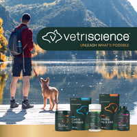 Thumbnail for VETRISCIENCE Extra Large Pinchers Pill Hiders Chews, Non-Greasy Pill Wrap with Probiotics for Dogs, Disguise Pills, Capsules and Tablets, Soft and Chewy, Gut and Immune Health, Chicken, 2 Pack