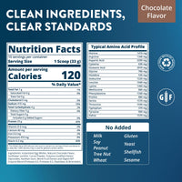 Thumbnail for MRM Nutrition Egg White Protein - Sugar Free Chocolate Flavored Powder, 23g Fat-Free Protein with Digestive Enzymes, Free of Dairy, Gluten, and Soy, High Biological Value - 10 Servings