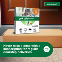 Thumbnail for Advantage II Small Cat Vet-Recommended Flea Treatment & Prevention | Cats 5-9 lbs. | 6-Month Supply