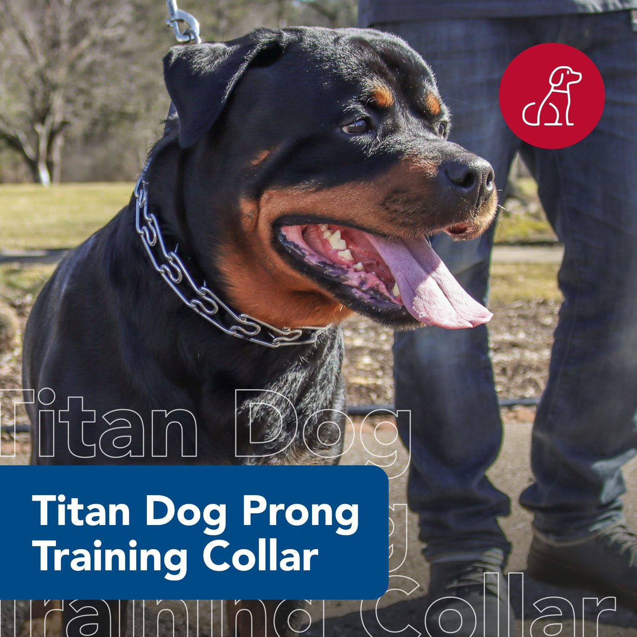 Coastal Pet Titan Dog Prong Training Collar - Rust-Resistant and Prong Metal Training Chain Collar for Dogs - Quality Supplies - 2 mm x 14"