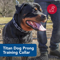 Thumbnail for Coastal Pet Titan Dog Prong Training Collar - Rust-Resistant and Prong Metal Training Chain Collar for Dogs - Quality Supplies - 2 mm x 14