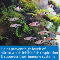 Thumbnail for API NITRITE TEST KIT 180-Test Freshwater and Saltwater Aquarium Test Kit