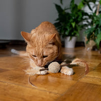 Thumbnail for SPOT Naturals Silver Vine Cat Toy – Natural Interactive Enrichment for Cats, Stimulates Play and Reduces Stress, Durable and Safe, Perfect for Indoor Cats and Kittens, Assorted Styles, 1 Piece