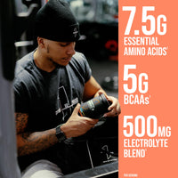Thumbnail for Rule 1 Proteins Essential Amino 9 – Recovery & Hydration Support with 7.5g of Essential Amino Acids + Electrolytes (30 Servings, Blue Razz Lemonade)