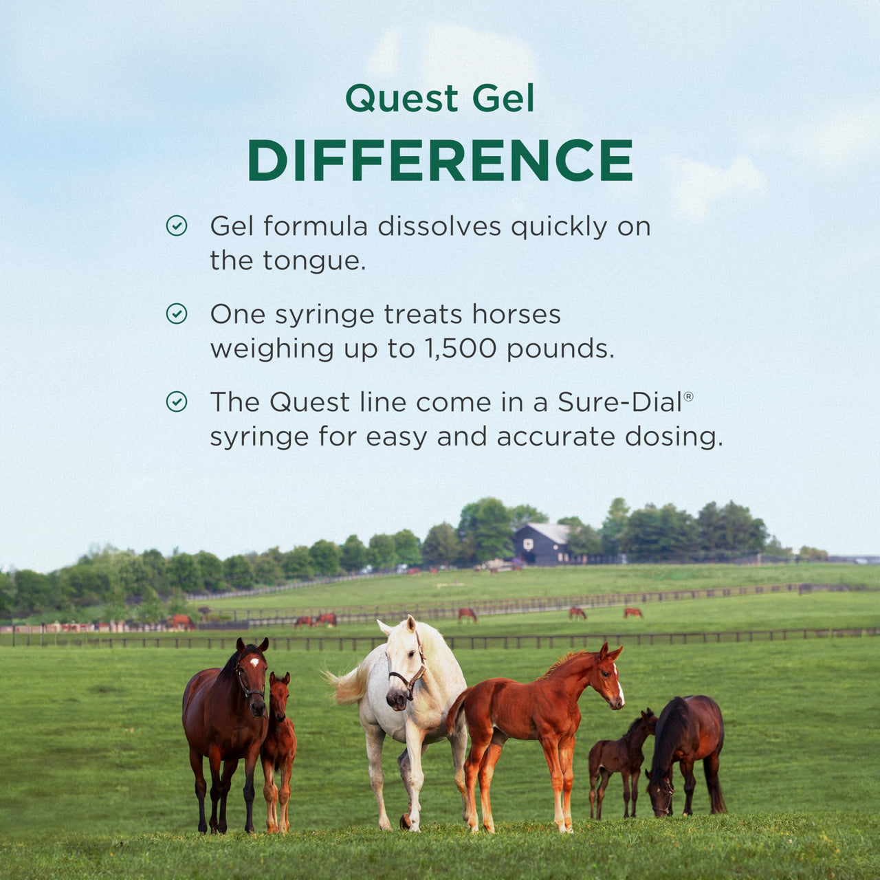 Quest Gel Moxidectin Horse Dewormer, Early Grazing Season recommended for Horses and Ponies 6 months and older, 0.5oz Sure-Dial Syringe