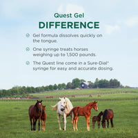 Thumbnail for Quest Gel Moxidectin Horse Dewormer, Early Grazing Season recommended for Horses and Ponies 6 months and older, 0.5oz Sure-Dial Syringe