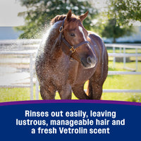 Thumbnail for Farnam Vetrolin Bath, Ultra-Hydrating Argan Oil Conditioning Shampoo, Enhances Shine, Soothes Dry Skin, for Horses and Dogs, 64 oz.
