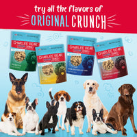 Thumbnail for Charlee Bear Chicken Soup & Garden Veggie Dog Treats 16 oz. bag