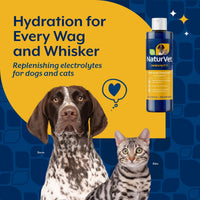 Thumbnail for NaturVet Pet Electrolyte Concentrate for Dogs and Cats, 16 oz Liquid Concentrate, Made in The USA with Globally Source Ingredients