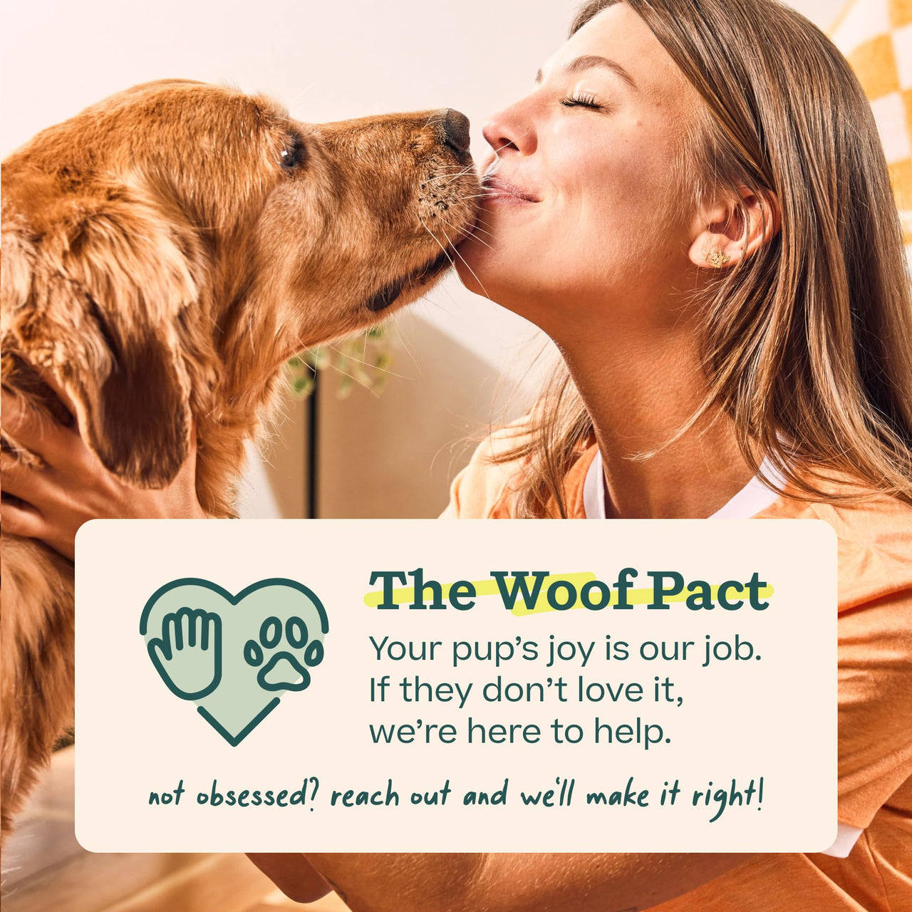 WOOF Pupsicle Birthday Pops - Healthy Dog Treats - Pre-Made Pupsicle Refills- Wholesome Ingredients - Naturally Sweet - Cake-Flavored Birthday Treat for Dogs - Large