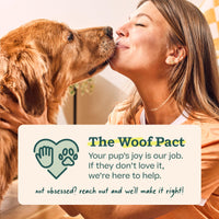Thumbnail for WOOF Pupsicle Birthday Pops - Healthy Dog Treats - Pre-Made Pupsicle Refills- Wholesome Ingredients - Naturally Sweet - Cake-Flavored Birthday Treat for Dogs - Large