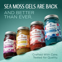 Thumbnail for TrueSeaMoss Sea Moss Gel – Made in USA – Wildcrafted Seamoss, Fruits & Jarred Vegetables – Mango/Pineapple, Pack of 1 (Labels may Vary)