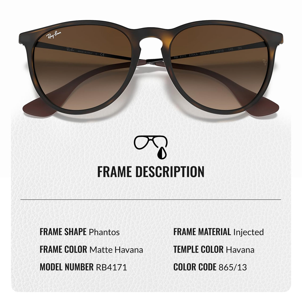 Ray-Ban RB4171 ERIKA Classic Phantos Shape Sunglasses With Eyewear Kit Bundle - High Bridge Fit - Ideal Formal and Casual Wear Retro Sunglasses