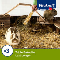 Thumbnail for Vitakraft Crunch Sticks Treat Variety Pack for Rabbits and Guinea Pigs with Triple-Baked Wood Chew Center Seeds Grains Honey and Fruit for Texture Flavor Enrichment and Long-Lasting Chewing Enjoyment