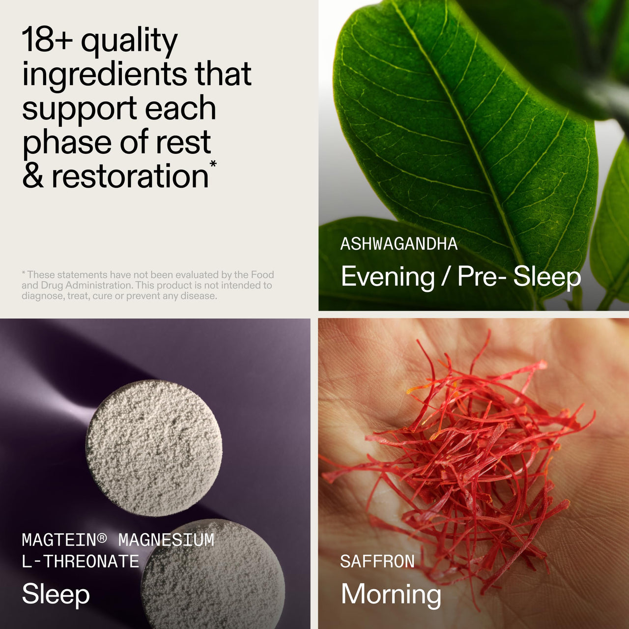 AG1 AGZ Sleep Drink, Magnesium Herbal Nighttime Blend, 30ct with Frother