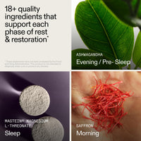 Thumbnail for AG1 AGZ Sleep Drink, Magnesium Herbal Nighttime Blend, 30ct with Frother