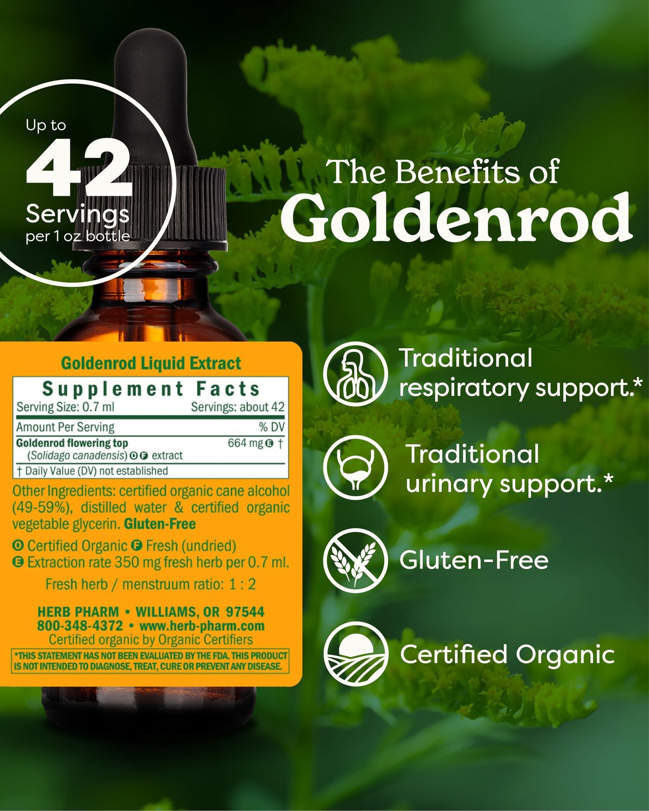 Herb Pharm Certified Organic Goldenrod Liquid Extract for Urinary System Support, 1 Fl Oz (Pack of 1)