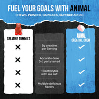 Thumbnail for Animal Creatine Chews Tablets - Enhanced Creatine Monohydrate with AstraGin to Improve Absorption, Sea Salt for Added Pumps, Delicious and Convenient Chewable Tablets - Fruit Punch