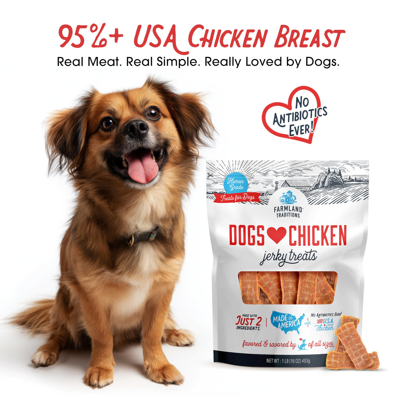 Farmland Traditions Dogs Love Chicken Jerky Dog Treats, Premium Two-Ingredient Dog Jerky with USA-Raised, Human-Grade Chicken & No Antibiotics Ever, 1 Pound (Pack of 1) Bag
