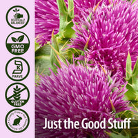 Thumbnail for Nature's Answer Milk Thistle Seed with Organic Alcohol, 1-Fluid Ounce