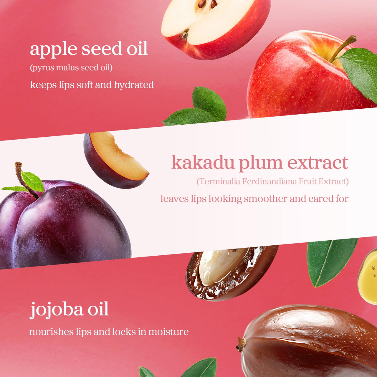 NOONI Korean Lip Oil - Appleplum | Long-Lasting, Moisturizing, Plumping, Revitalizing for Dry Lips, Waterproof, No Peel Off, Korean Tint, Hydrating, Nourishing Crystal Clear, 0.12 FL Oz