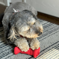 Thumbnail for SPOT Treat Holder- Safety Device Bully Stick Holder & Yak Cheese Holder for Medium and Large Dogs, to Help Prevent Choking, 6in