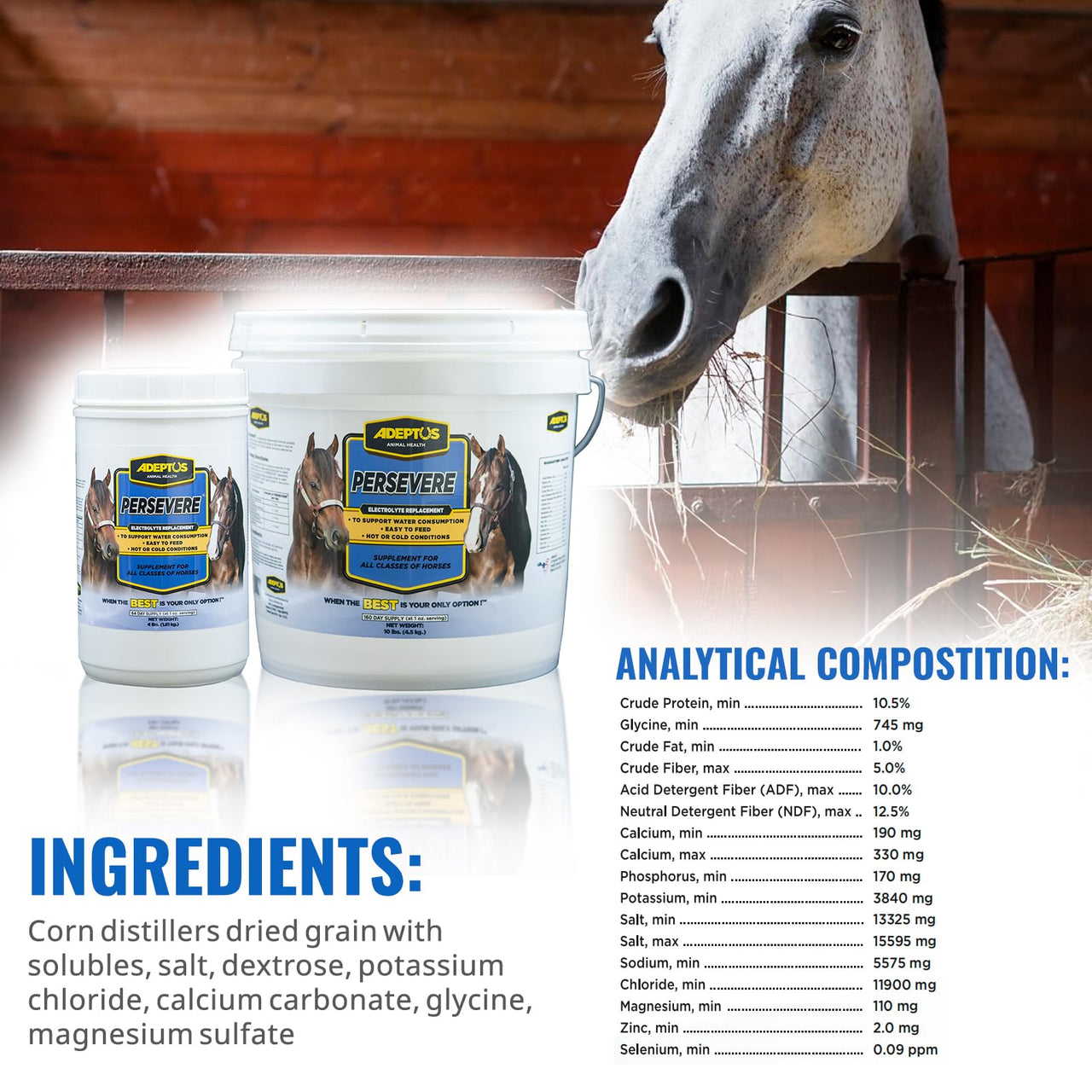 Adeptus Nutrition Persevere Electrolyte Supplement for All Classes of Horses, Supports Hydration, Balanced Formula for Sweat Replacement, Prebiotic Yeast Base, Easy-Feed Powder, 4 Lbs