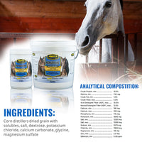 Thumbnail for Adeptus Nutrition Persevere Electrolyte Supplement for All Classes of Horses, Supports Hydration, Balanced Formula for Sweat Replacement, Prebiotic Yeast Base, Easy-Feed Powder, 4 Lbs