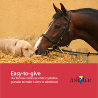 Thumbnail for AniMed Pure MSM Supplement for Horses, 1-Pound…