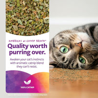 Thumbnail for SmartyKat Natural Catnip Canister, 100% Natural Cat Nip for Cats, Premium Dried Catnip for Indoor Cats, Positive Training Aid for Play and Exercise, Resealable Shaker Bottle, 2 Ounces