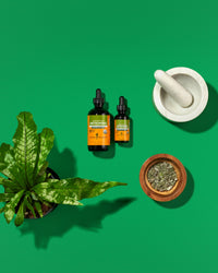 Thumbnail for Herb Pharm Certified Organic Artichoke Liquid Extract for Cardiovascular and Circulatory Support - 4 Ounce