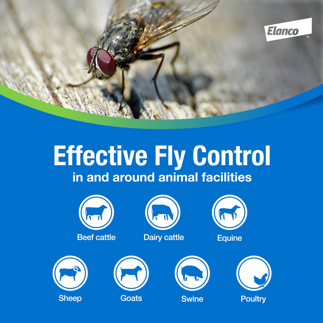 Elanco QuickBayt Fly Bait | Fast-Acting Nuisance Fly Insecticide | 350g Ready to Use Scatter Bait