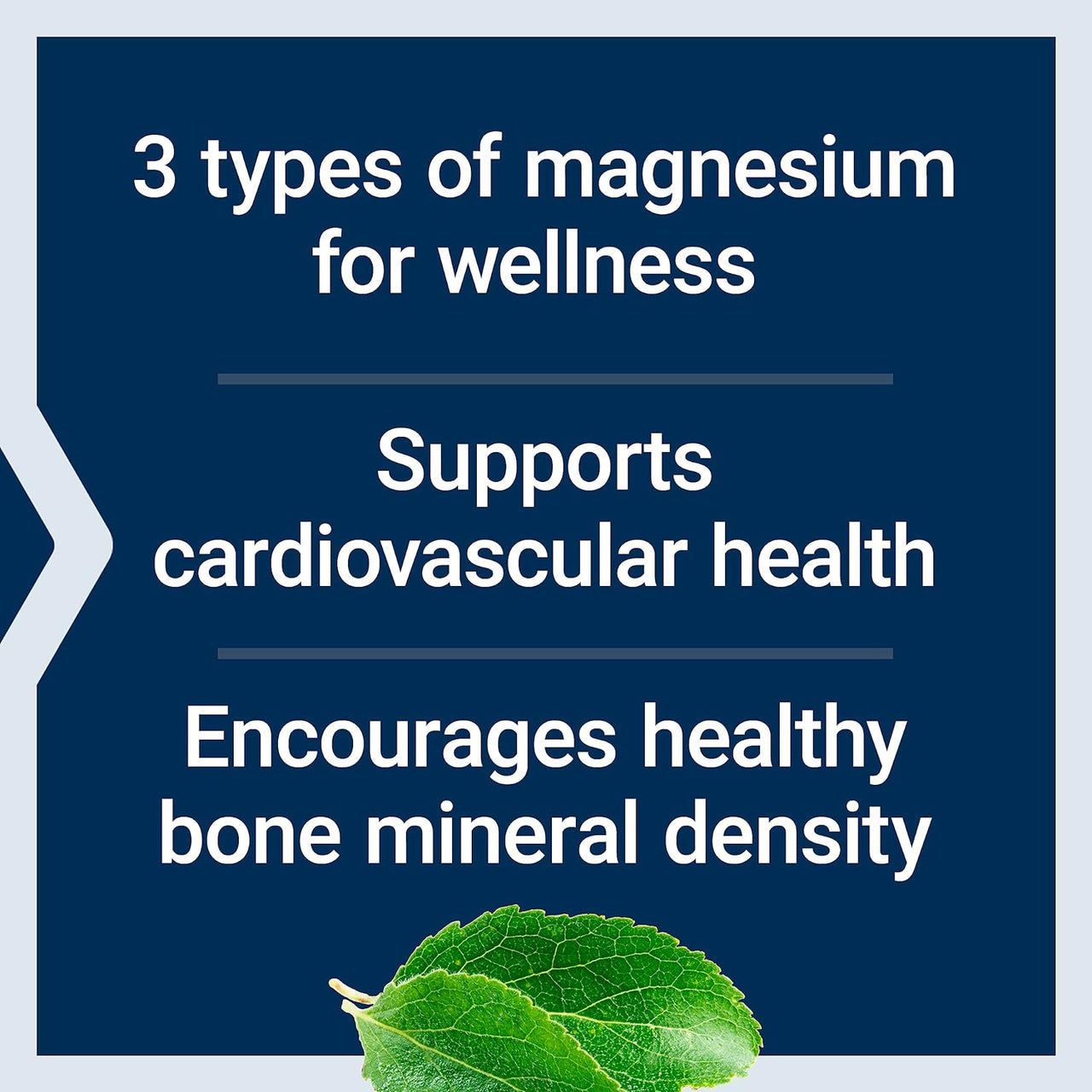 Life Extension Magnesium Caps 500 mg Vegetarian Capsules