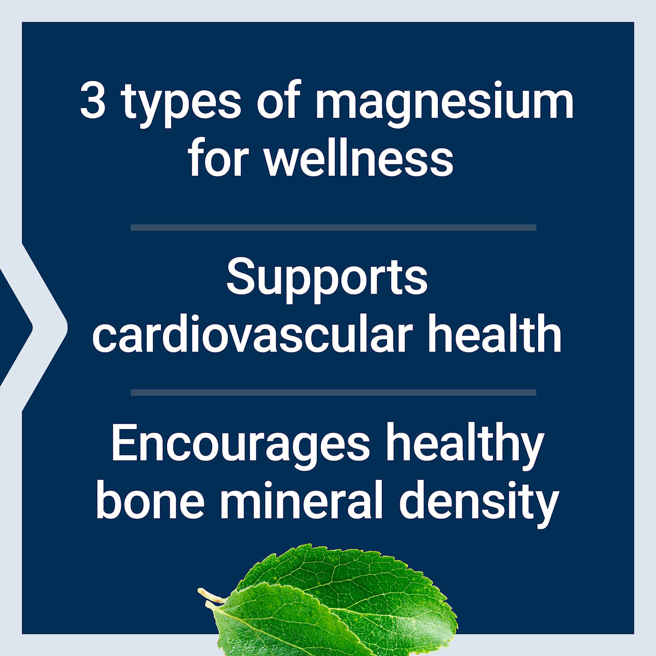 Life Extension Magnesium Caps, 500 mg, Magnesium Oxide, Magnesium Citrate, Magnesium Succinate, Heart Health, Healthy Bones, Metabolism Support, 100 Vegetarian Capsules