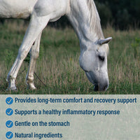 Thumbnail for Absorbine Bute-Less Long-Term Horse Comfort & Recovery Supplement Paste, Gentle on Stomach, Devil’s Claw, Vitamin B-12, Yucca, 1oz Syringe / 3 Doses