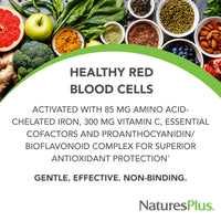 Thumbnail for NaturesPlus Hema-Plex Iron - 60 Fast-Acting Softgels - 85 mg Iron + Vitamin C & Bioflavonoids for Healthy Red Blood Cells - Gluten Free - 20 Servings