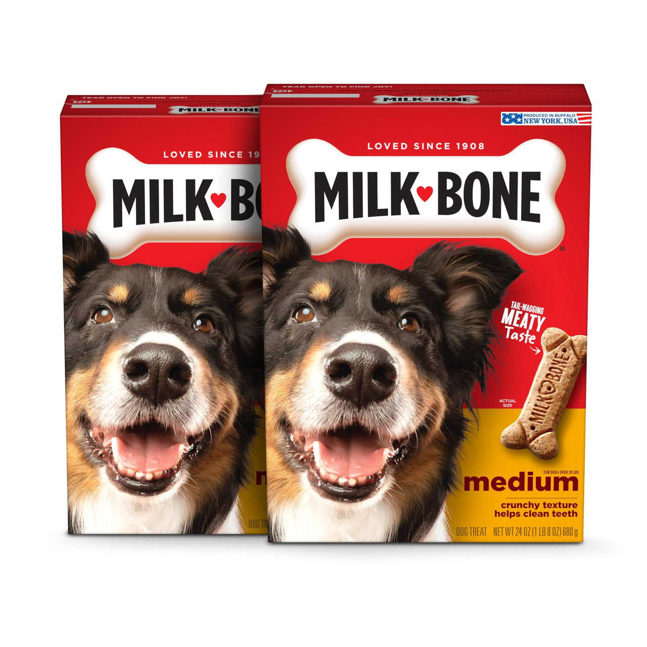 Milk-Bone Dog Treats for Medium Dogs, 24 Ounce | Pack of 2 | Crunchy | Helps Clean Teeth