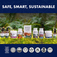 Thumbnail for Host Defense Mushrooms Lion's Mane - Brain Health Support Supplement for Focus & Memory Function - Immune & Nervous System Support Supplement- 30 Capsules