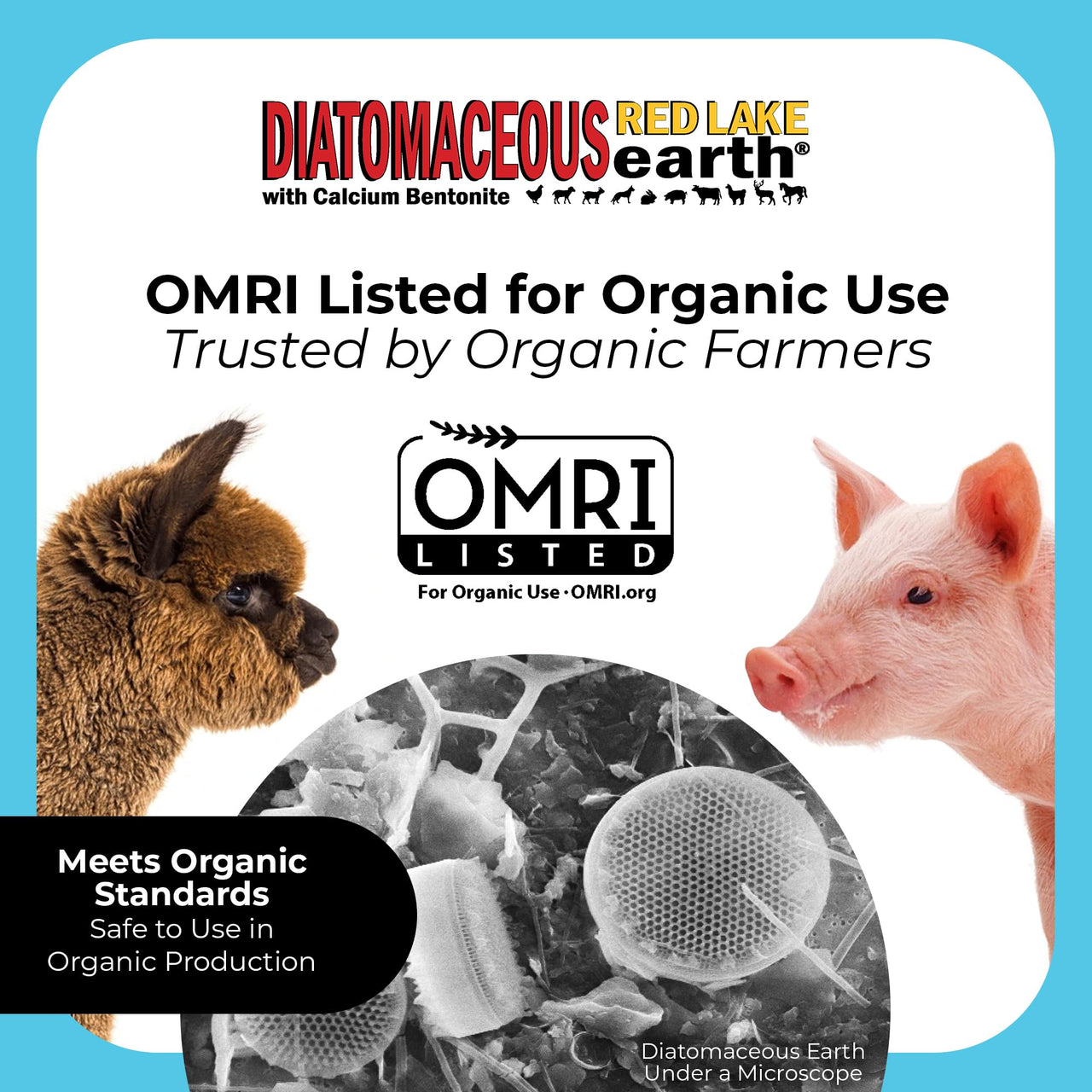 Progressive Planet Red Lake Earth Animal Feed Additive, 4Lbs - Natural Diatomaceous with Calcium Bentonite for Poultry & Livestock - Prevents Caking, Improves Feed Flow & Maintains Fresh Feed